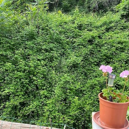 Villa Serenice - F2 Au Calme, Climatise, Wifi Et Parking Gratuit Kültér fotó