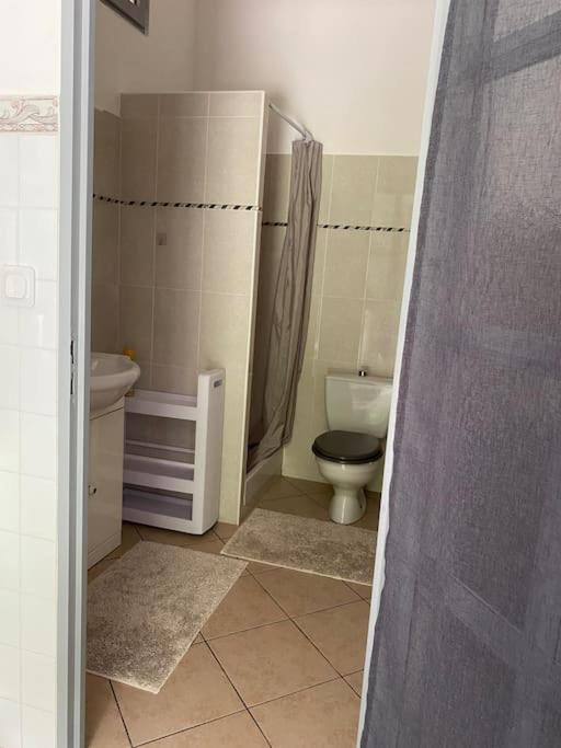 Villa Serenice - F2 Au Calme, Climatise, Wifi Et Parking Gratuit Kültér fotó
