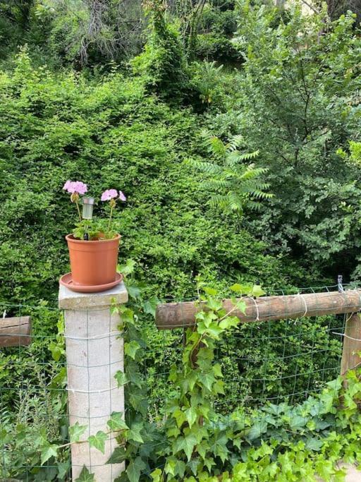 Villa Serenice - F2 Au Calme, Climatise, Wifi Et Parking Gratuit Kültér fotó